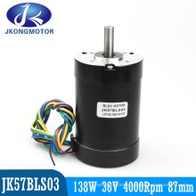 36V 138W Brushless DC Motor with Hall 120 Degree Electrical Angle